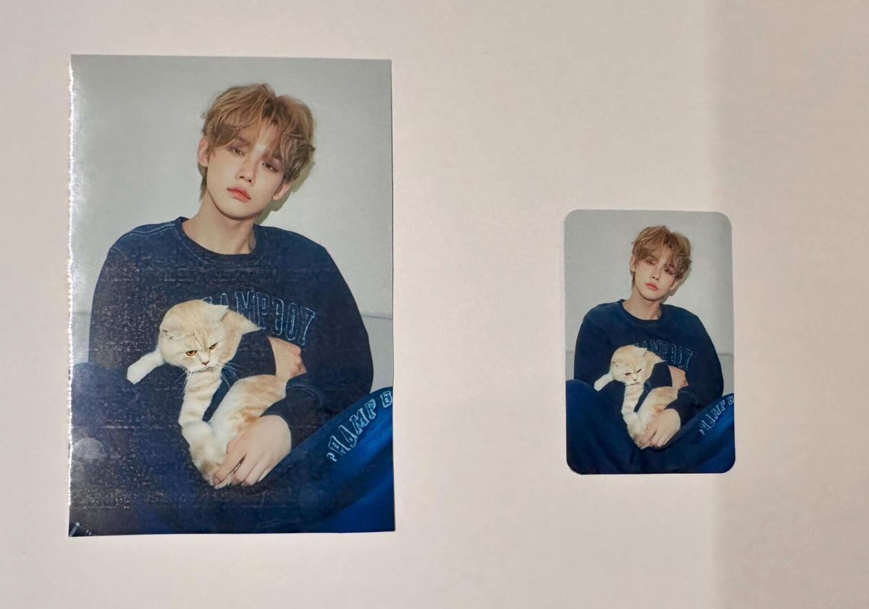 TXT Bias Bundle