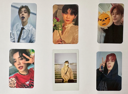 TXT Bias Bundle